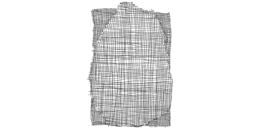 Alga, un diseño que habla a través de los sentidos.